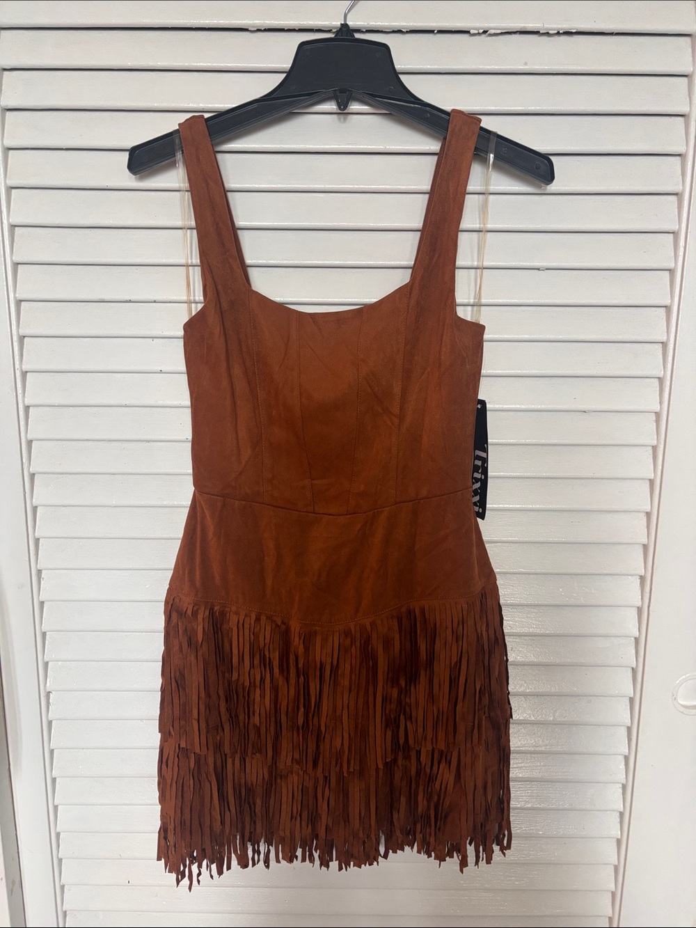 Trixxi Brown Fringe Suede Mini Dress